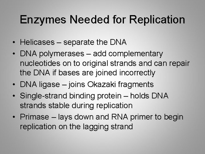 Enzymes Needed for Replication • Helicases – separate the DNA • DNA polymerases –