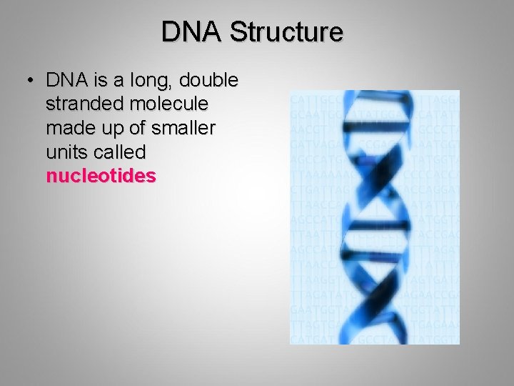 DNA Structure • DNA is a long, double stranded molecule made up of smaller