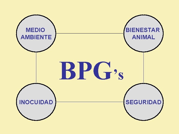 MEDIO AMBIENTE BIENESTAR ANIMAL BPG’s INOCUIDAD SEGURIDAD 