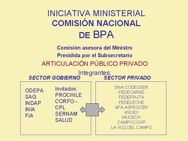 INICIATIVA MINISTERIAL COMISIÓN NACIONAL DE BPA Comisión asesora del Ministro Presidida por el Subsecretario