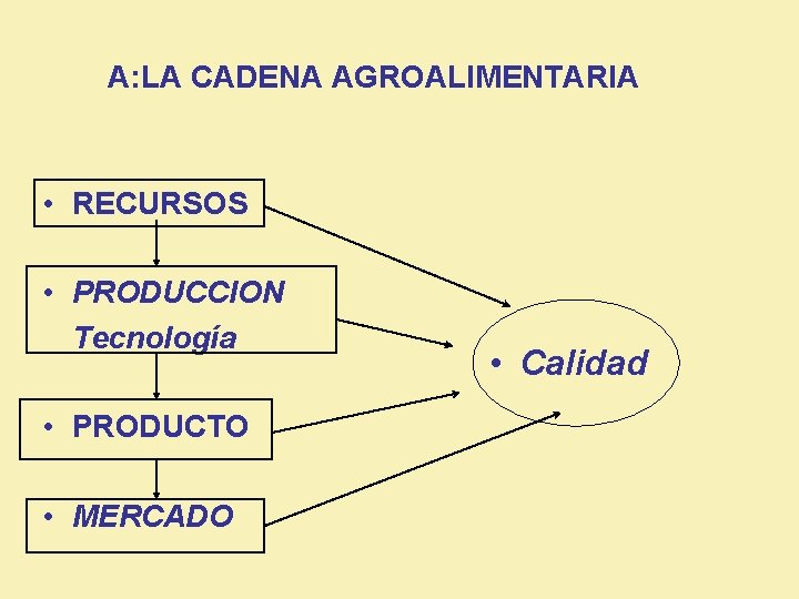 A: LA CADENA AGROALIMENTARIA • RECURSOS • PRODUCCION Tecnología • PRODUCTO • MERCADO •