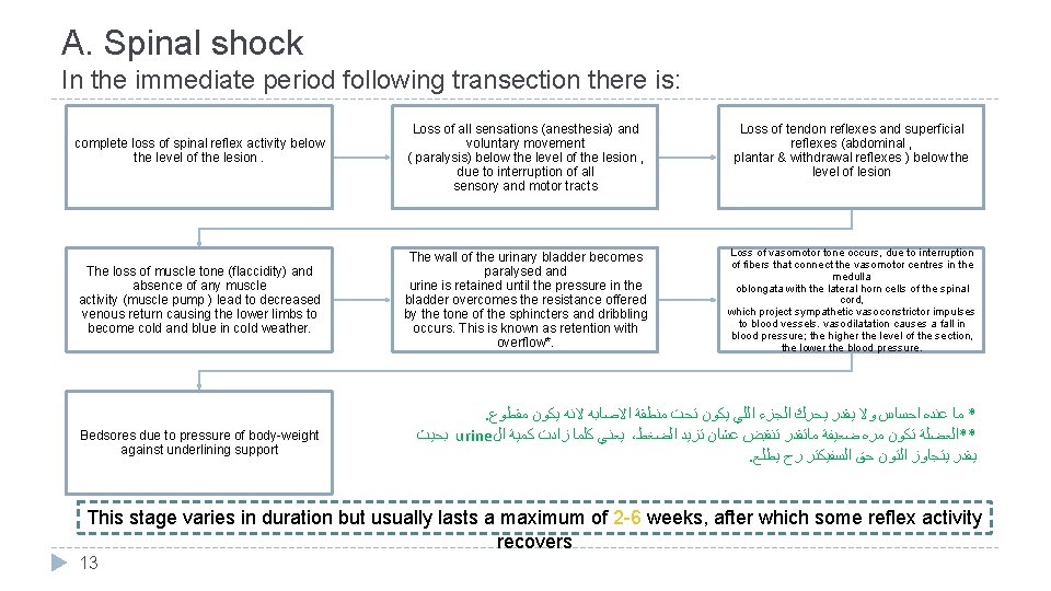 A. Spinal shock In the immediate period following transection there is: complete loss of