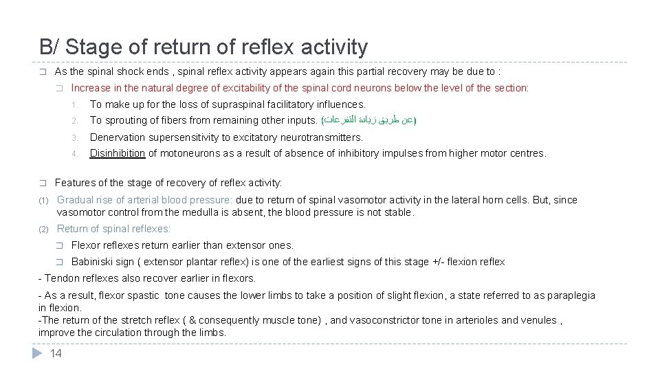 B/ Stage of return of reflex activity � As the spinal shock ends ,