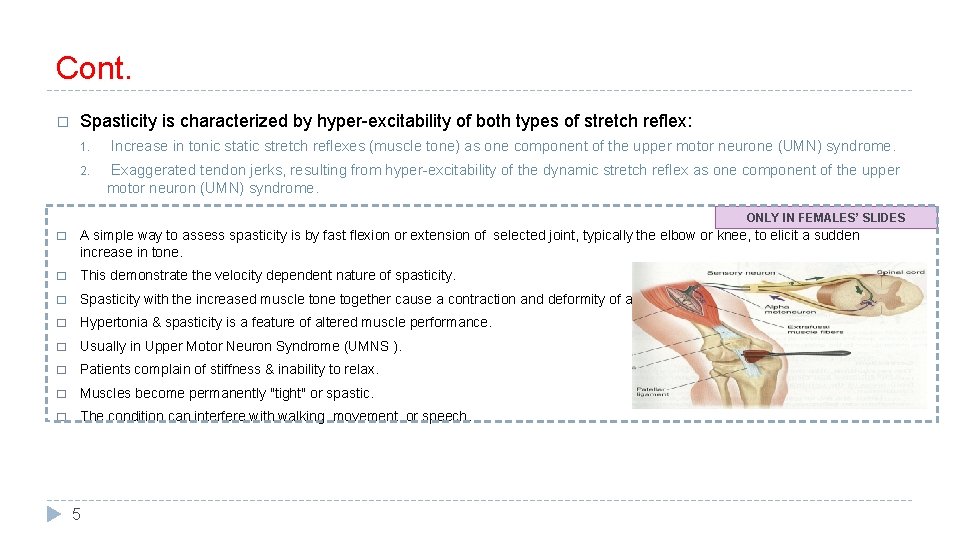 Cont. � Spasticity is characterized by hyper-excitability of both types of stretch reflex: 1.