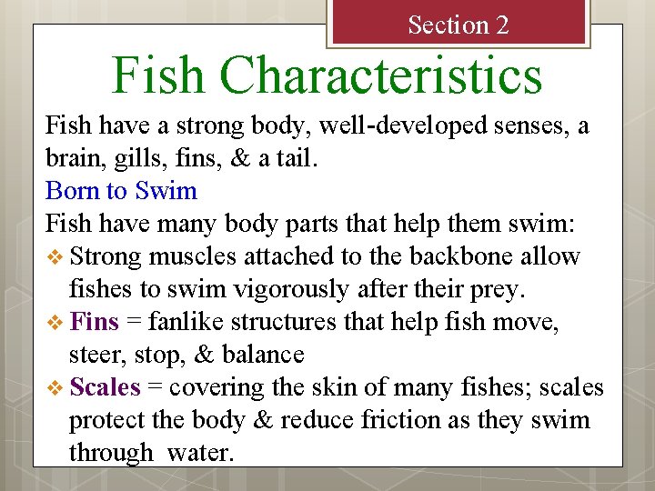 Section 2 Fish Characteristics Fish have a strong body, well-developed senses, a brain, gills,