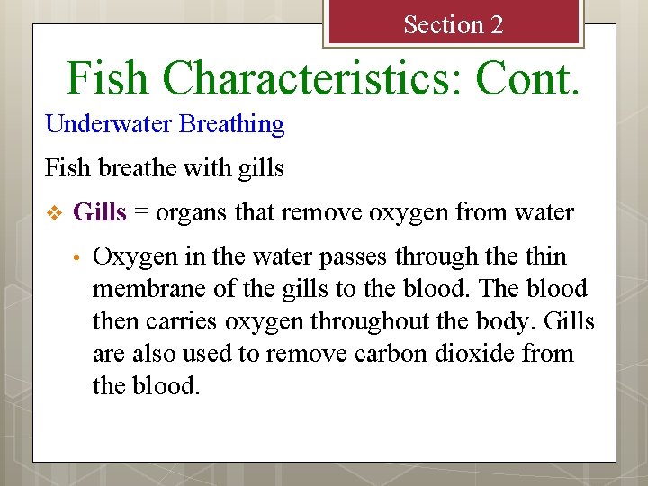 Section 2 Fish Characteristics: Cont. Underwater Breathing Fish breathe with gills v Gills =