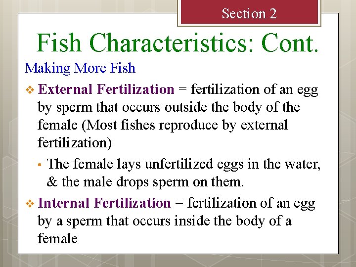 Section 2 Fish Characteristics: Cont. Making More Fish v External Fertilization = fertilization of