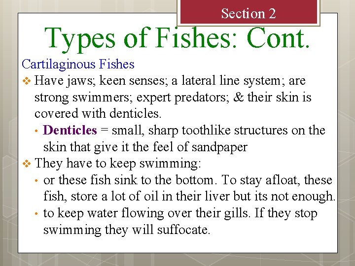 Section 2 Types of Fishes: Cont. Cartilaginous Fishes v Have jaws; keen senses; a