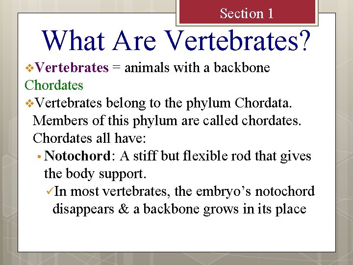 Section 1 What Are Vertebrates? v. Vertebrates = animals with a backbone Chordates v.