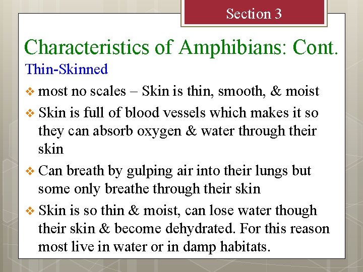 Section 3 Characteristics of Amphibians: Cont. Thin-Skinned v most no scales – Skin is