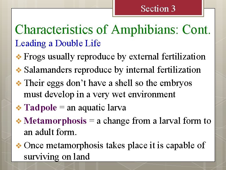 Section 3 Characteristics of Amphibians: Cont. Leading a Double Life v Frogs usually reproduce