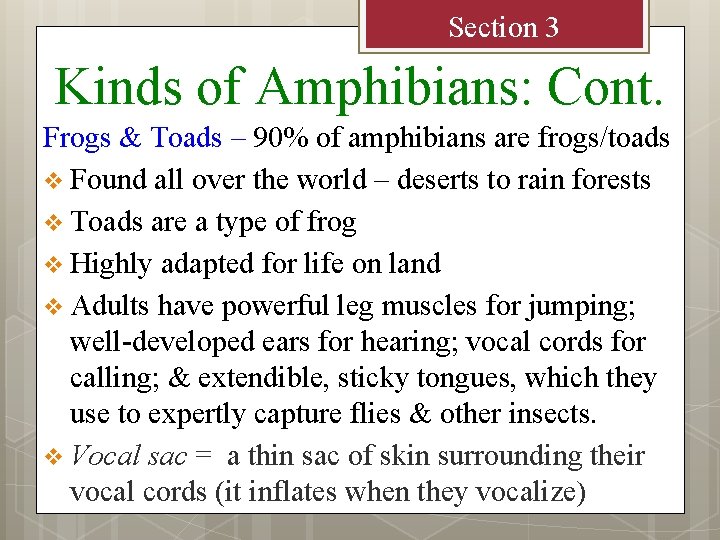 Section 3 Kinds of Amphibians: Cont. Frogs & Toads – 90% of amphibians are