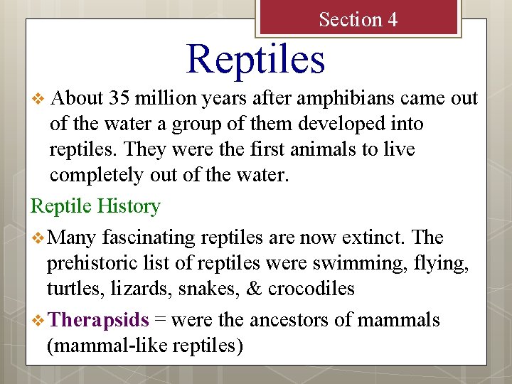 Section 4 Reptiles v About 35 million years after amphibians came out of the