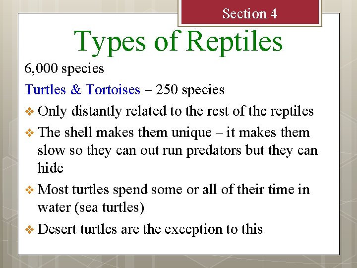 Section 4 Types of Reptiles 6, 000 species Turtles & Tortoises – 250 species