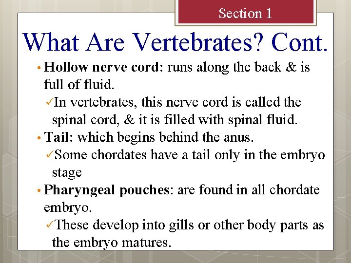 Section 1 What Are Vertebrates? Cont. • Hollow nerve cord: runs along the back