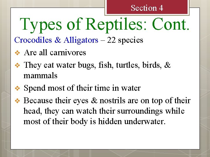 Section 4 Types of Reptiles: Cont. Crocodiles & Alligators – 22 species v Are