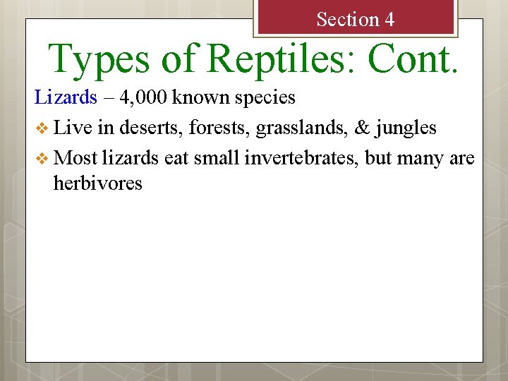 Section 4 Types of Reptiles: Cont. Lizards – 4, 000 known species v Live