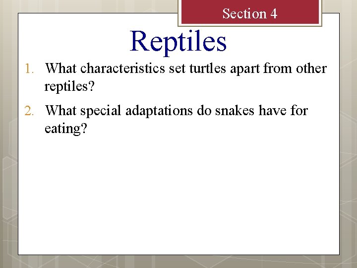 Section 4 Reptiles 1. What characteristics set turtles apart from other reptiles? 2. What