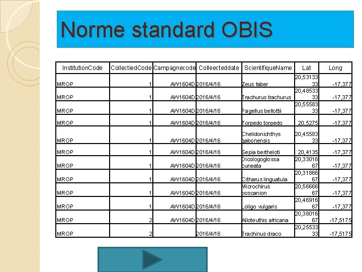 Norme standard OBIS Institution. Code Collectied. Code Campagnecode Colleecteddate Scientifique. Name Lat Long IMROP Norme standard OBIS Institution. Code Collectied. Code Campagnecode Colleecteddate Scientifique. Name Lat Long IMROP
