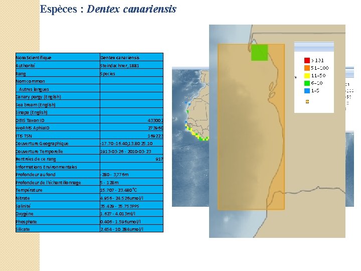 Espèces : Dentex canariensis Nom Scientifique Dentex canariensis Authorité Steindachner, 1881 Rang Species Nom Espèces : Dentex canariensis Nom Scientifique Dentex canariensis Authorité Steindachner, 1881 Rang Species Nom