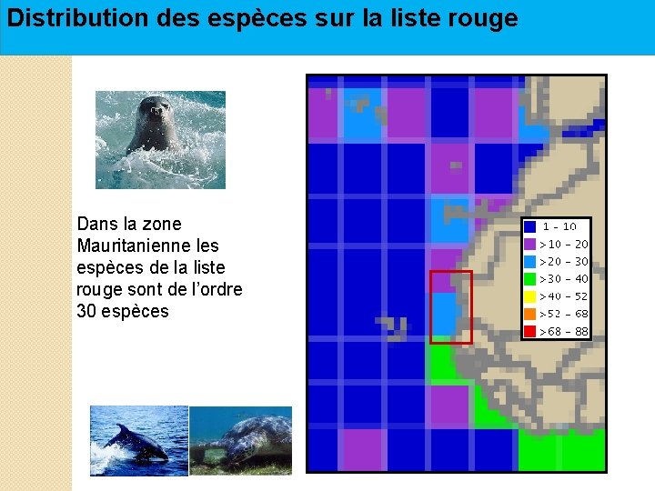 Distribution des espèces sur la liste rouge Dans la zone Mauritanienne les espèces de Distribution des espèces sur la liste rouge Dans la zone Mauritanienne les espèces de