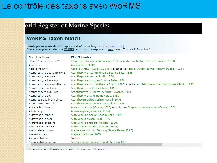 Le contrôle des taxons avec Wo. RMS Le contrôle des taxons avec Wo. RMS