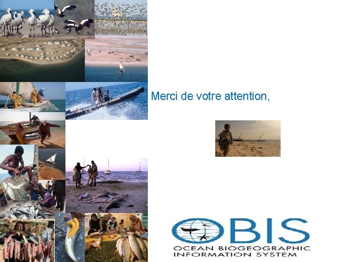Merci de votre attention, Merci de votre attention,