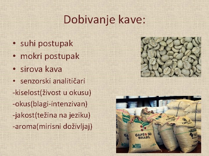 Dobivanje kave: • suhi postupak • mokri postupak • sirova kava • senzorski analitičari