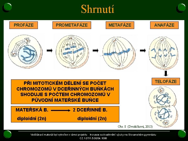 Shrnutí PROFÁZE PROMETAFÁZE TELOFÁZE PŘI MITOTICKÉM DĚLENÍ SE POČET CHROMOZOMŮ V DCEŘINNÝCH BUŇKÁCH SHODUJE Shrnutí PROFÁZE PROMETAFÁZE TELOFÁZE PŘI MITOTICKÉM DĚLENÍ SE POČET CHROMOZOMŮ V DCEŘINNÝCH BUŇKÁCH SHODUJE