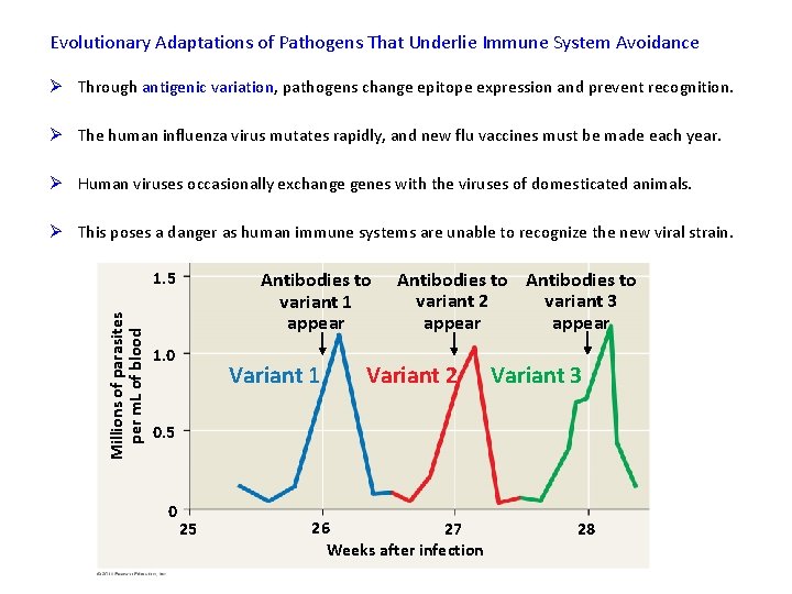 Evolutionary Adaptations of Pathogens That Underlie Immune System Avoidance Ø Through antigenic variation, pathogens
