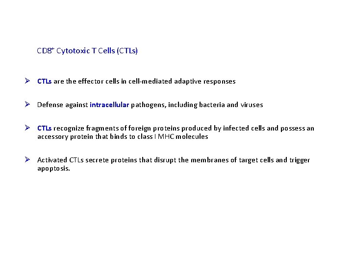 CD 8+ Cytotoxic T Cells (CTLs) Ø CTLs are the effector cells in cell-mediated