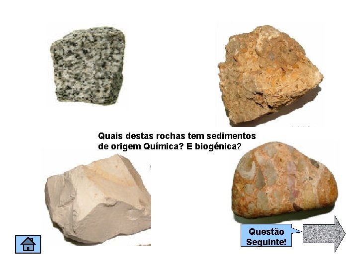 Quais destas rochas tem sedimentos de origem Química? E biogénica? Questão Seguinte! 