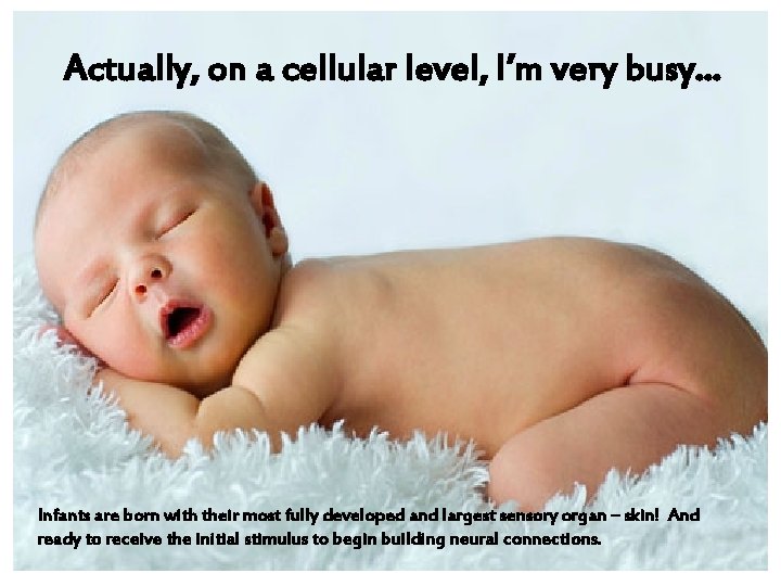 Actually, on a cellular level, I’m very busy… Infants are born with their most