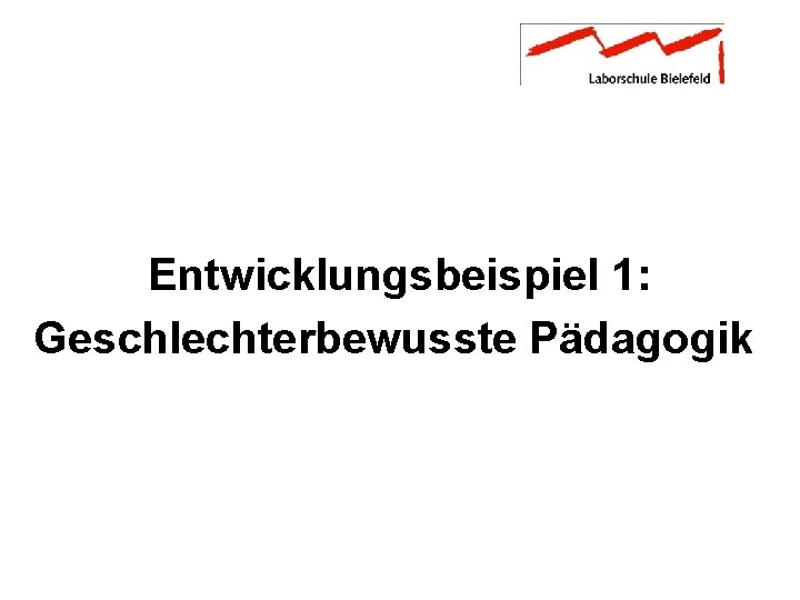 Entwicklungsbeispiel 1: Geschlechterbewusste Pädagogik 