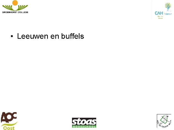 • Leeuwen en buffels • Leeuwen en buffels