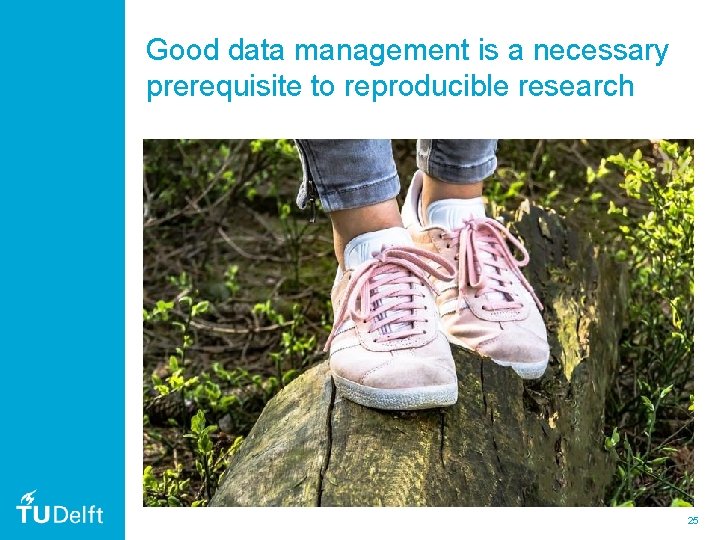 Good data management is a necessary prerequisite to reproducible research 25 