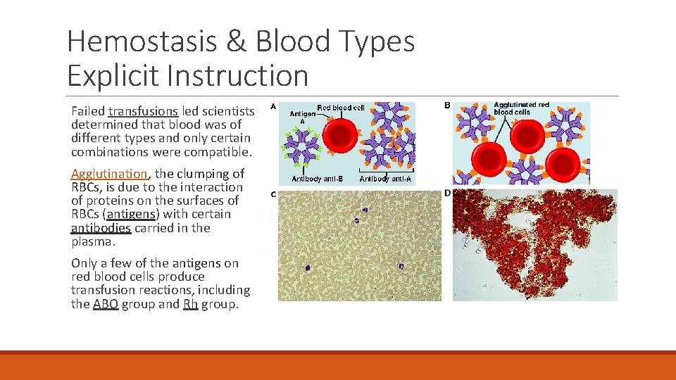 Hemostasis & Blood Types Explicit Instruction Failed transfusions led scientists determined that blood was Hemostasis & Blood Types Explicit Instruction Failed transfusions led scientists determined that blood was