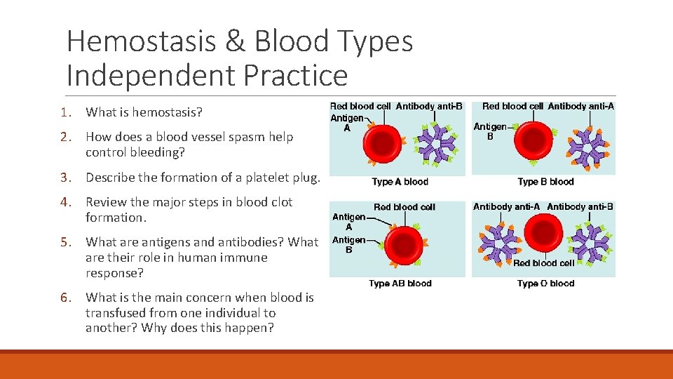 Hemostasis & Blood Types Independent Practice 1. What is hemostasis? 2. How does a Hemostasis & Blood Types Independent Practice 1. What is hemostasis? 2. How does a