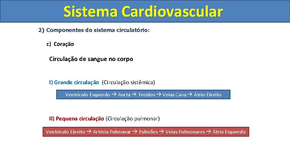 Sistema Cardiovascular Circulatório 2) Componentes do sistema circulatório: c) Coração Circulação de sangue no Sistema Cardiovascular Circulatório 2) Componentes do sistema circulatório: c) Coração Circulação de sangue no
