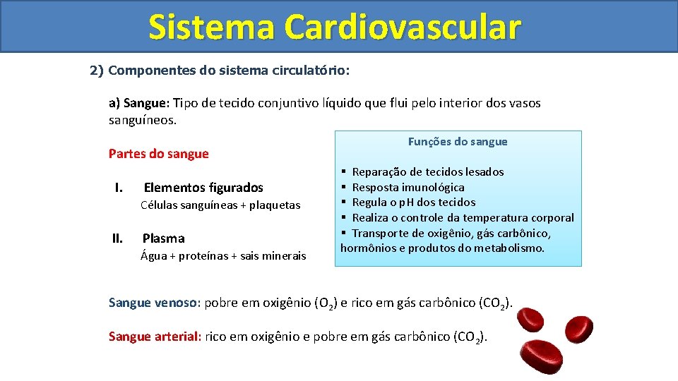Sistema Cardiovascular Circulatório 2) Componentes do sistema circulatório: a) Sangue: Tipo de tecido conjuntivo Sistema Cardiovascular Circulatório 2) Componentes do sistema circulatório: a) Sangue: Tipo de tecido conjuntivo