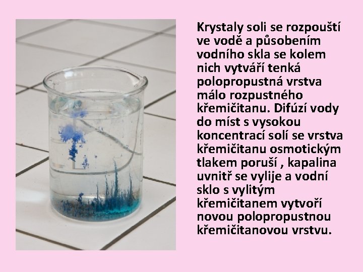 Krystaly soli se rozpouští ve vodě a působením vodního skla se kolem nich vytváří Krystaly soli se rozpouští ve vodě a působením vodního skla se kolem nich vytváří