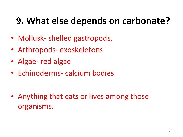 9. What else depends on carbonate? • • Mollusk- shelled gastropods, Arthropods- exoskeletons Algae-
