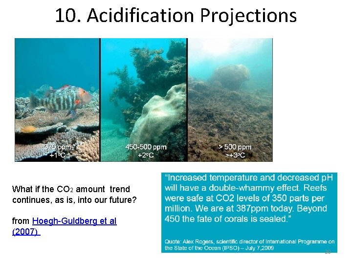 10. Acidification Projections What if the CO 2 amount trend continues, as is, into