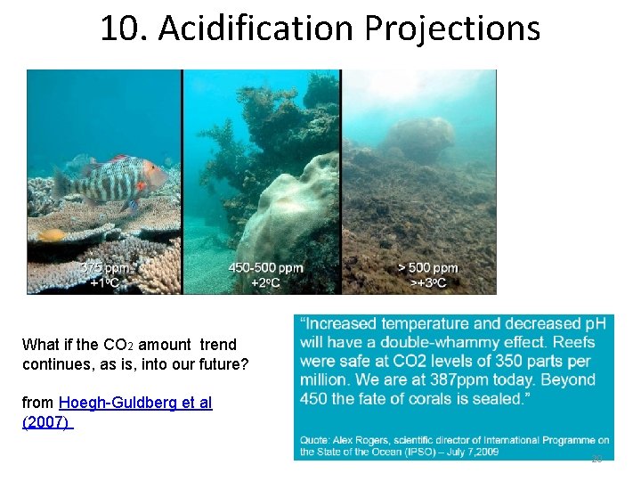 10. Acidification Projections What if the CO 2 amount trend continues, as is, into 10. Acidification Projections What if the CO 2 amount trend continues, as is, into