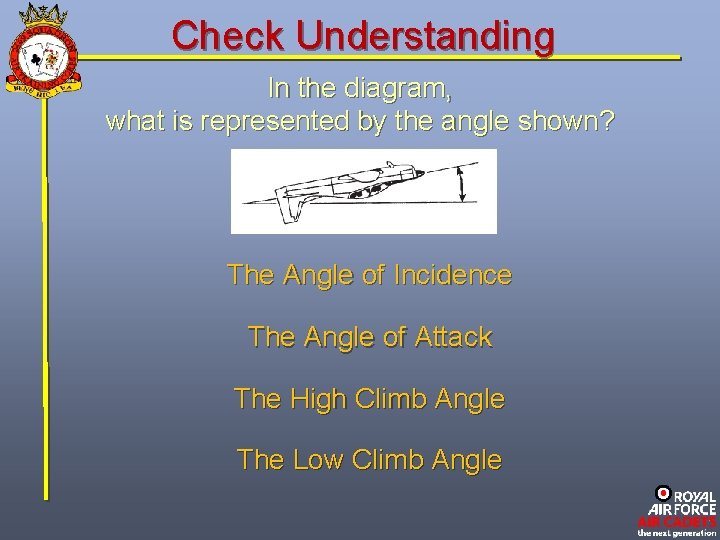 Check Understanding In the diagram, what is represented by the angle shown? The Angle