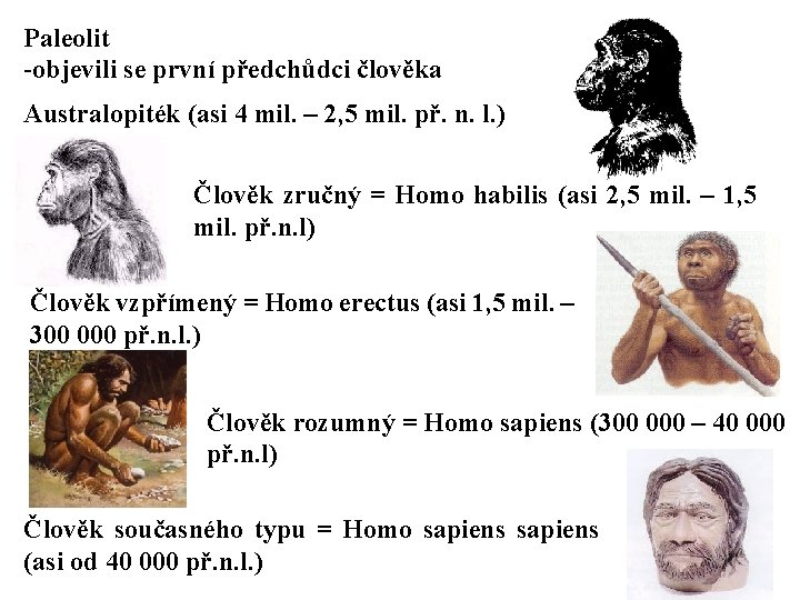 Paleolit -objevili se první předchůdci člověka Australopiték (asi 4 mil. – 2, 5 mil. Paleolit -objevili se první předchůdci člověka Australopiték (asi 4 mil. – 2, 5 mil.