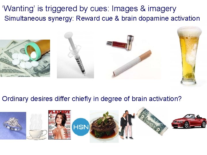 ‘Wanting’ is triggered by cues: Images & imagery Simultaneous synergy: Reward cue & brain