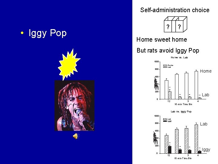 Self-administration choice • Iggy Pop Home sweet home But rats avoid Iggy Pop Home