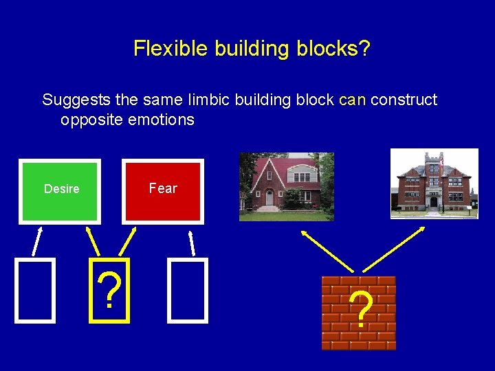 Flexible building blocks? Suggests the same limbic building block can construct opposite emotions Fear