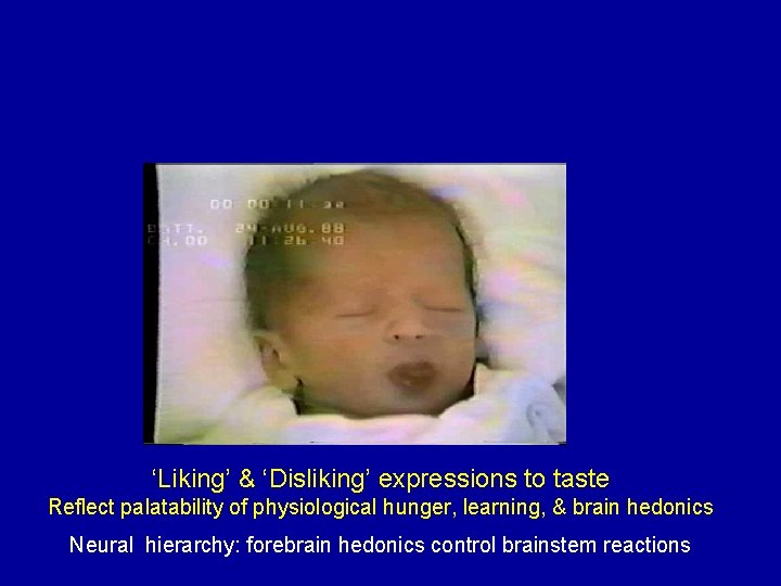 ‘Liking’ & ‘Disliking’ expressions to taste Reflect palatability of physiological hunger, learning, & brain